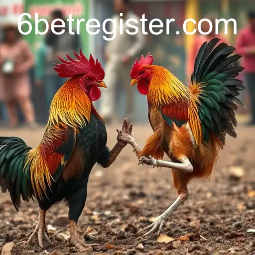 Cockfighting and the Rise of 6BET